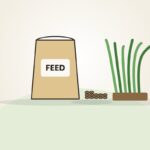 Feed & Fodder - Karnataka goat and sheep farm