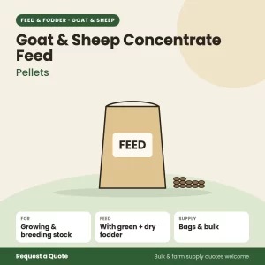 Goat & Sheep Concentrate Feed (Pellets) for goat and sheep farms