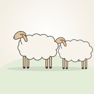 Mandya (Bandur) Sheep