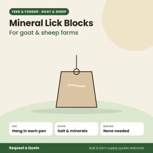Mineral Lick Blocks for goat and sheep farms