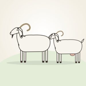 Nandidurga Goats